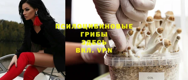 ГАЛЛЮЦИНОГЕННЫЕ ГРИБЫ Бугульма