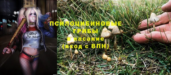 герыч Бородино