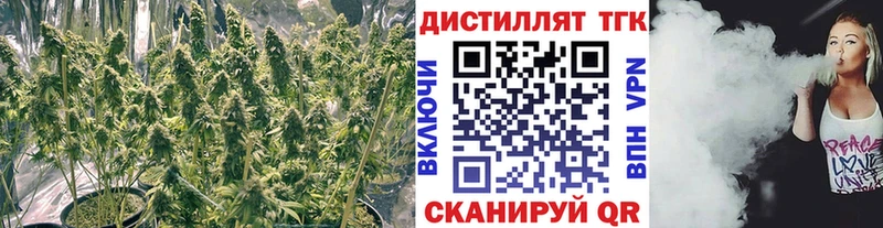 ТГК THC oil  Майкоп 