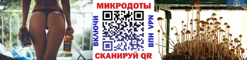 Галлюциногенные грибы мухоморы  hydra зеркало  Майкоп 